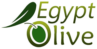 Egypt Olive