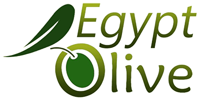 Egypt Olive