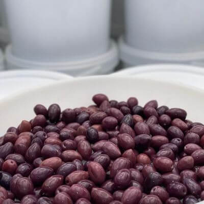 Natural Kalamata Olives